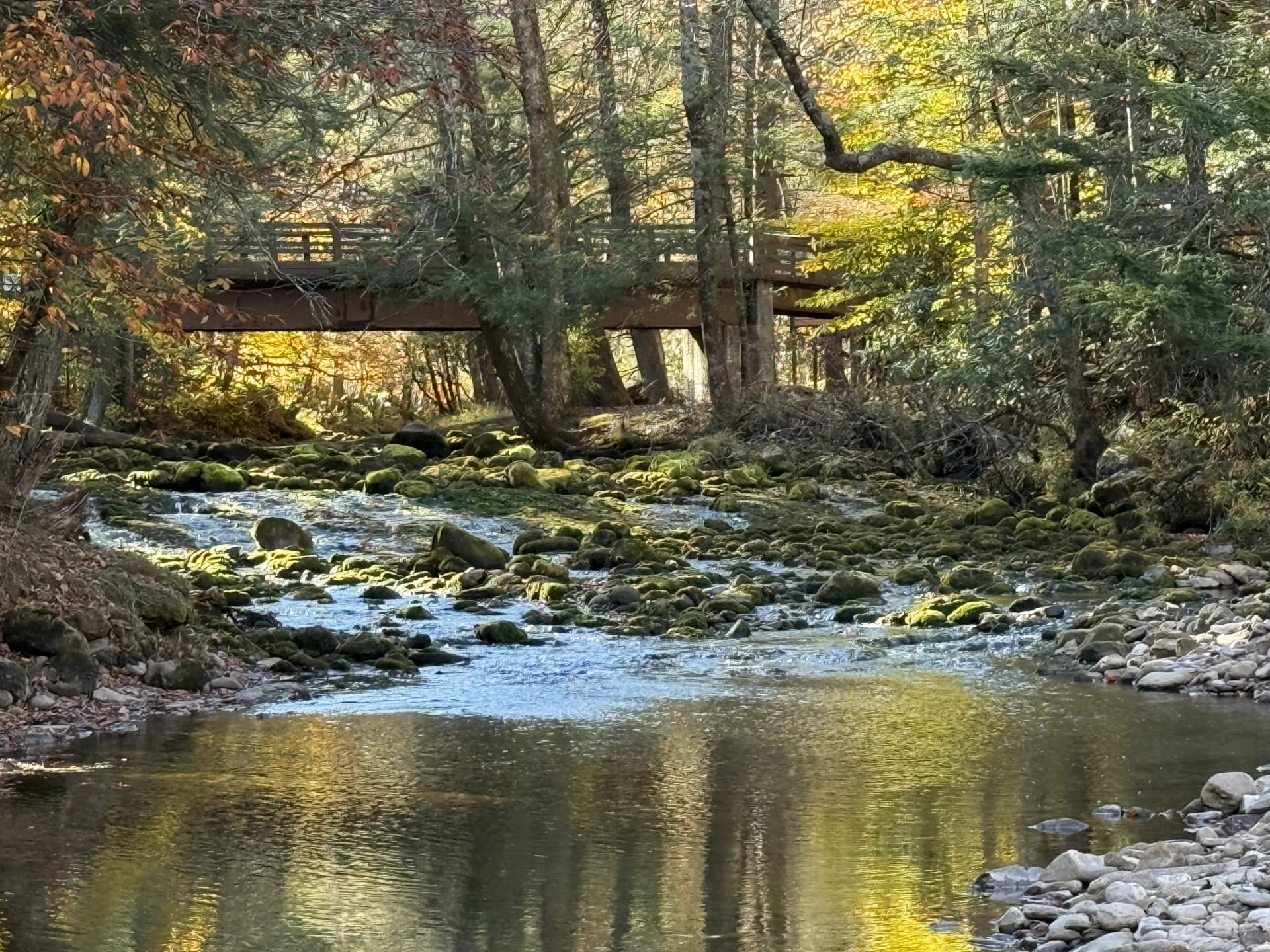 HWFW Fall 2025 Elk Springs image