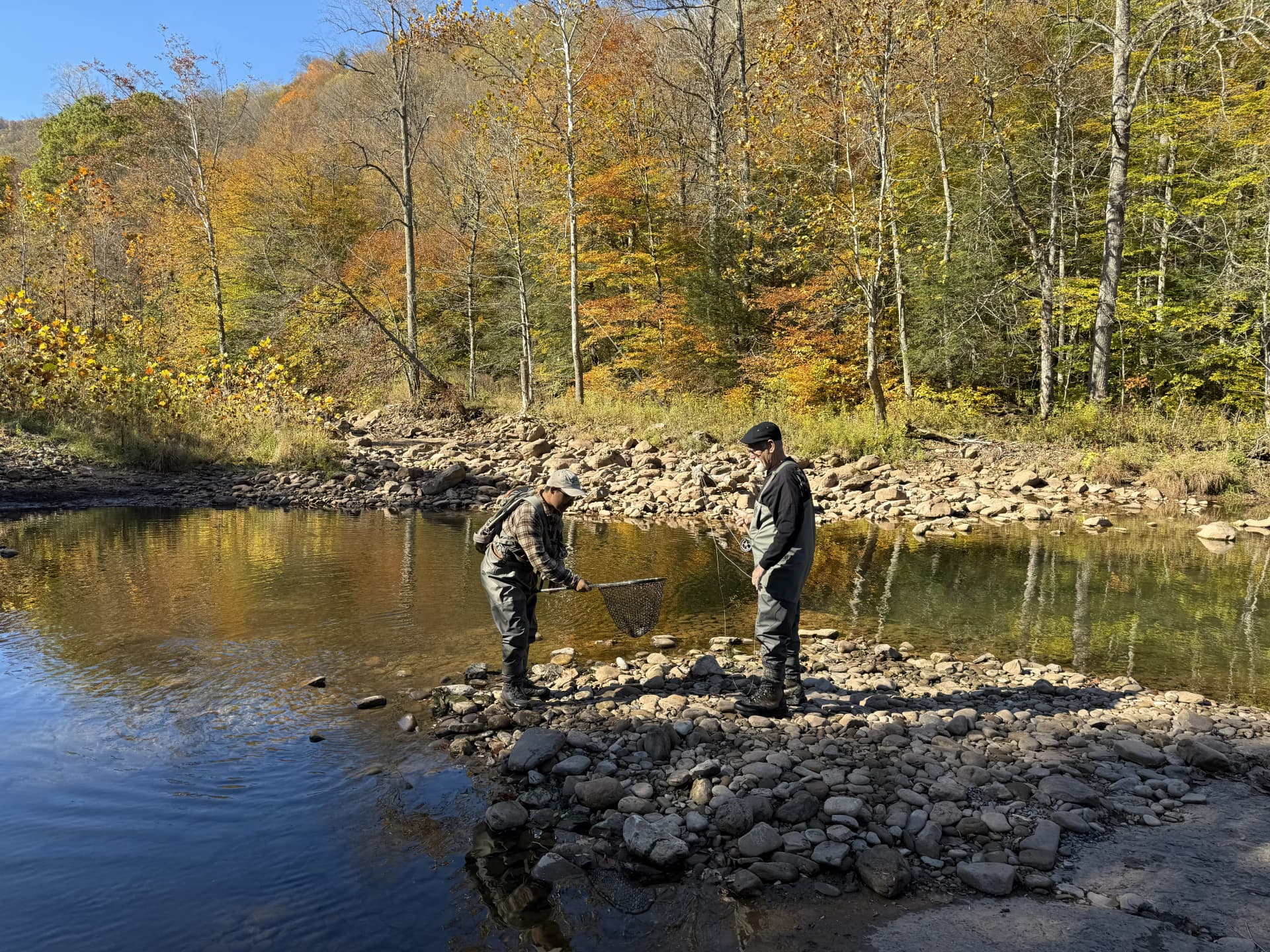 HWFW Fall 2025 Elk Springs image