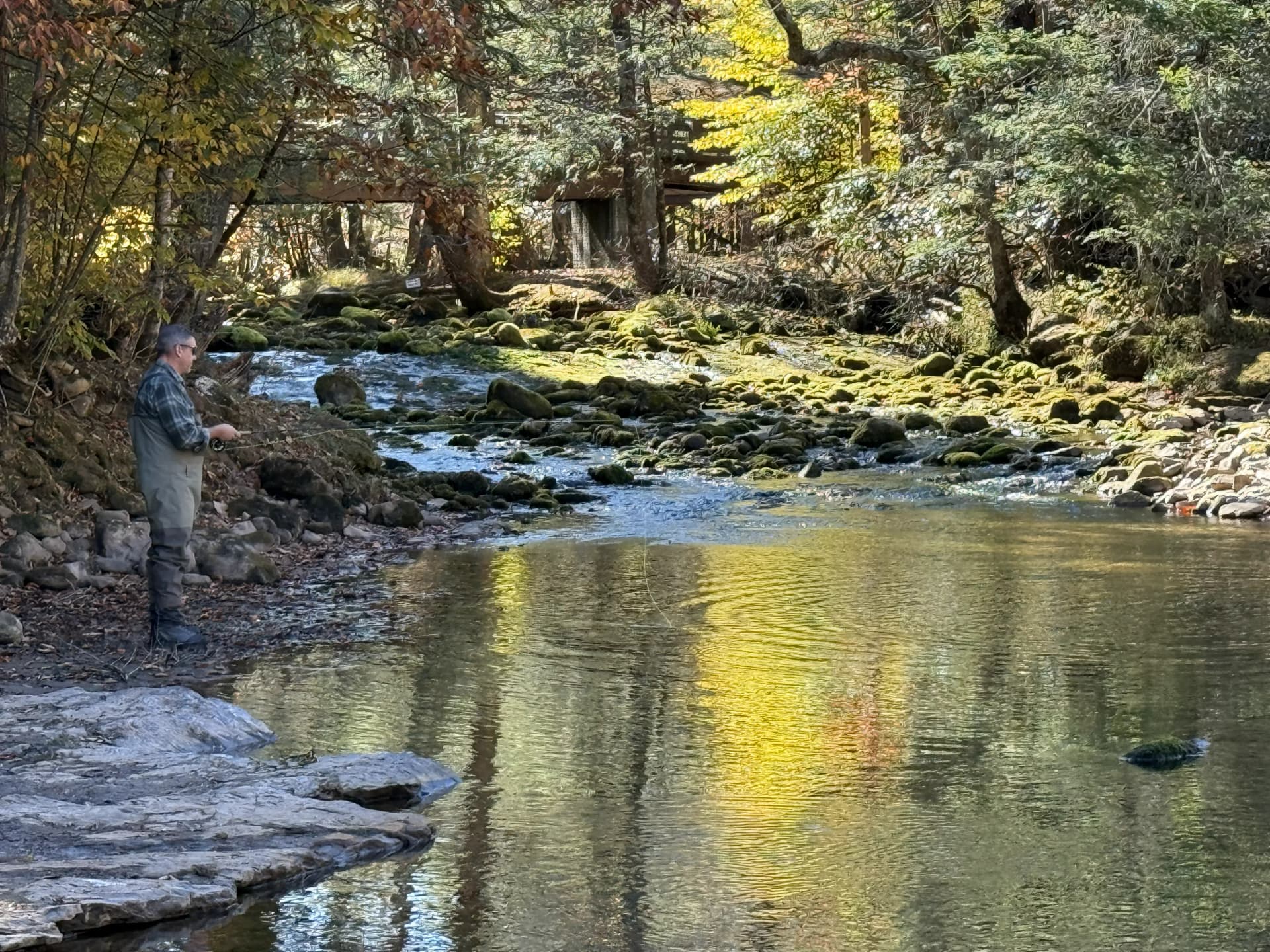 HWFW Fall 2025 Elk Springs image