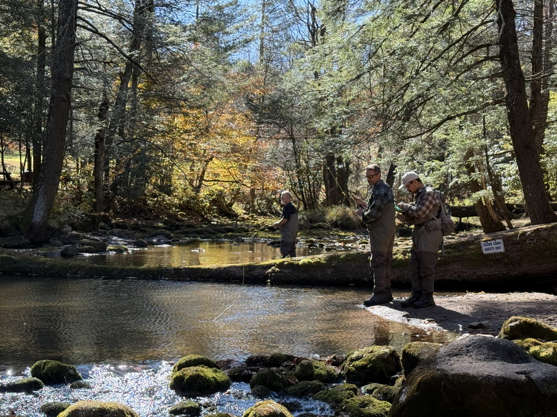 HWFW Fall 2025 Elk Springs image