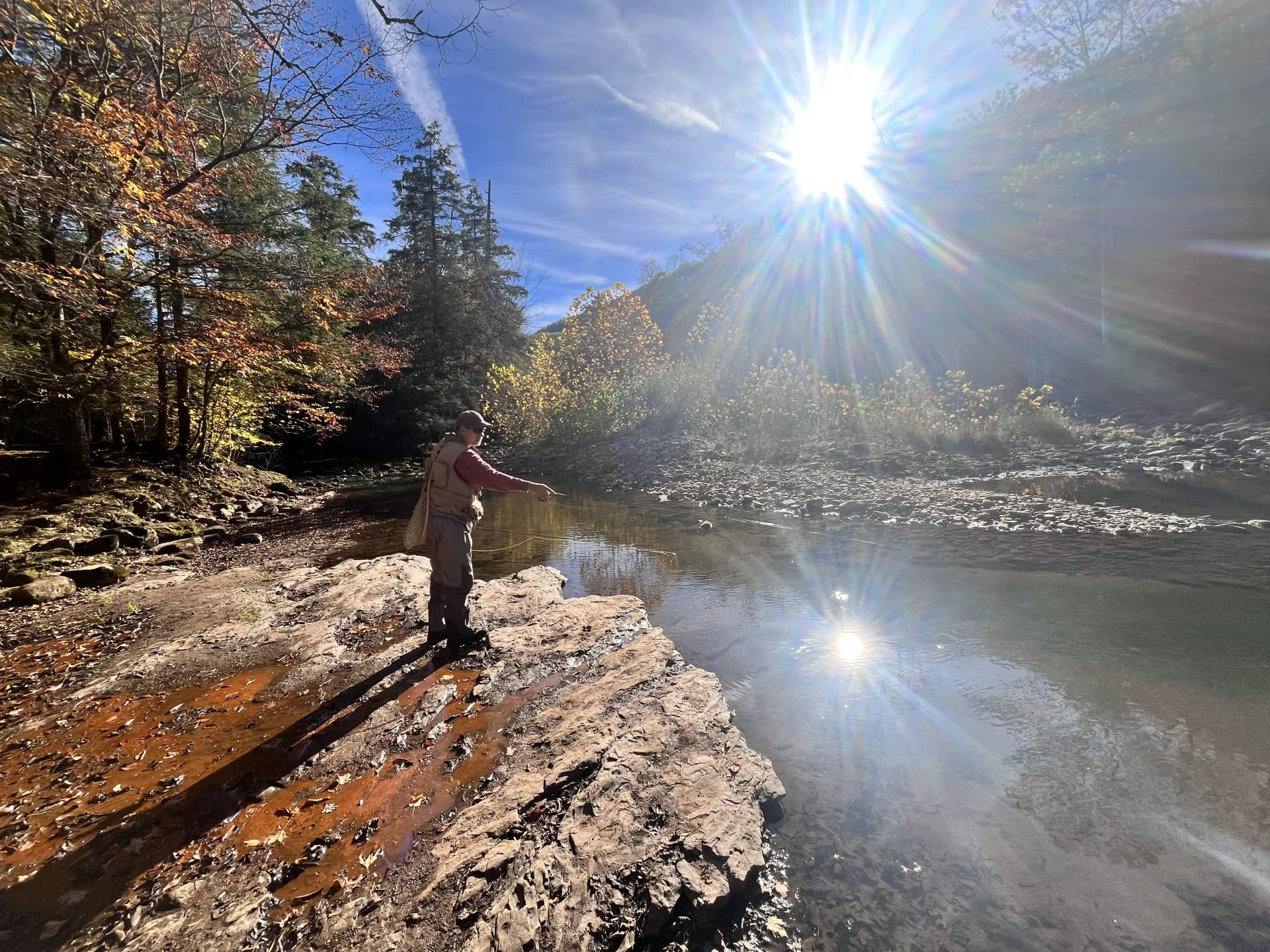 HWFW Fall 2025 Elk Springs image